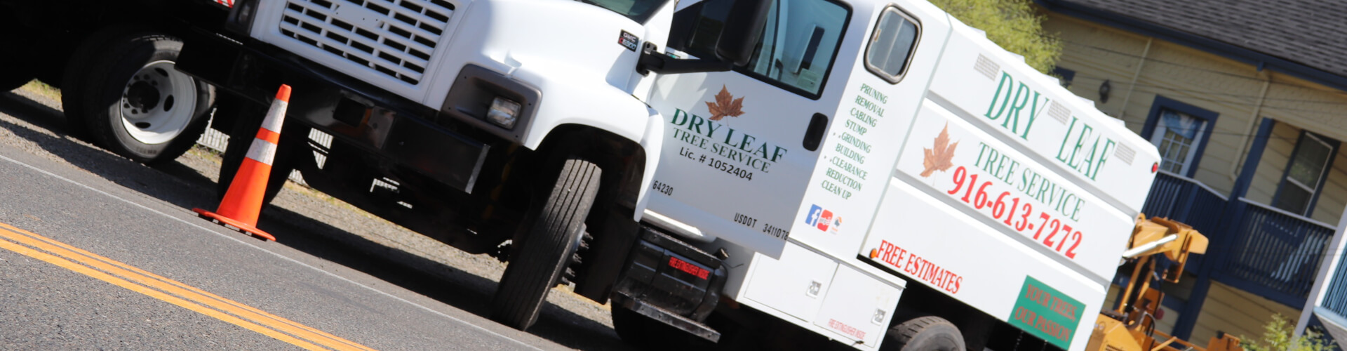 Dry Leaf Tree Service - Event Management Services