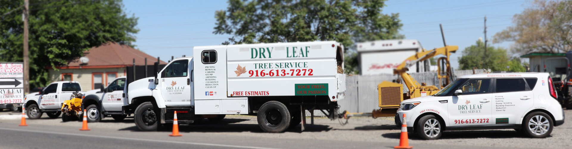 Dry Leaf Tree Service - contact-us